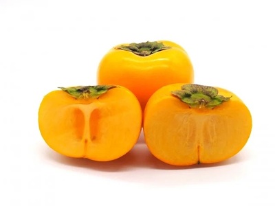 【令和8年産 先行予約】厳選 庄内柿　L 又は 2Lサイズ　約5kg（24～26個）　株式会社 元青果