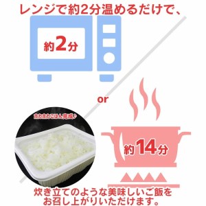 山形県産米 パックご飯 うまかめし200g×48食 美味かめし パック ライス ごはん