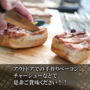 鶴岡産 豚バラ ブロック肉 約4kg (約2kg×2枚） 「成澤さん家のめごとん」 豚肉