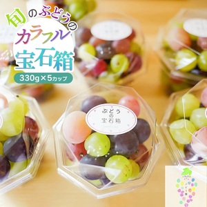 【令和8年産先行予約】お楽しみ!旬のぶどうのカラフル宝石箱 330g×5カップ カラフルぶどう園
