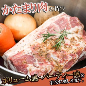 鶴岡産 豚肩ロース ブロック肉 約4kg (約2kg×2本） 「成澤さん家のめごとん」 豚肉