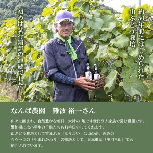 山ぶどう原液1000ml×2本セット 葡萄ジュース | 山形県鶴岡市 | ふるさと納税サイト「ふるなび」