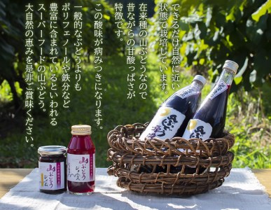 山ぶどう原液1000ml×2本セット 葡萄ジュース 