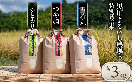 【令和4年産】黒川まるいし農場のコシヒカリ・つや姫・雪若丸 各3㎏