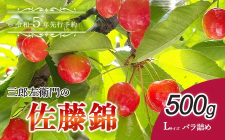 【令和5年分先行予約】佐藤錦 Lサイズ バラ詰め 500g 三郎左衛門