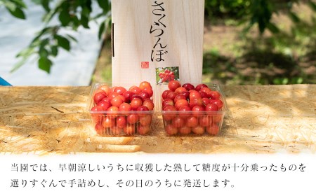 【令和8年産先行予約】紅秀峰 バラ詰め Lサイズ 1kg　もぎたて「初夏の味覚」さくらんぼ　丸忠農園