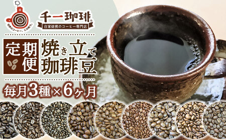 焼き立て珈琲豆 定期便 毎月3種×6ヶ月