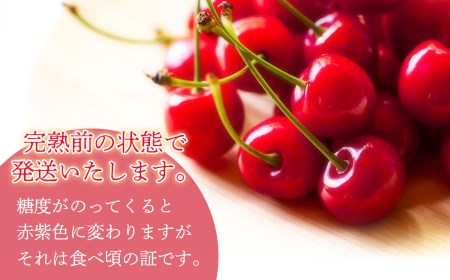 【令和7年産先行予約】さくらんぼ 紅さやか M～Lサイズ混合 バラ詰め 800g (200g×4p) 庄内さくらんぼ園