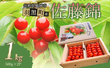 【令和7年産先行予約】佐藤錦 1kg 2L～Lサイズ 混合 バラ詰め 小林農園 さくらん坊