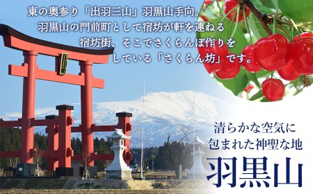 【令和7年産先行予約】佐藤錦 1kg 2L～Lサイズ 混合 バラ詰め 小林農園 さくらん坊