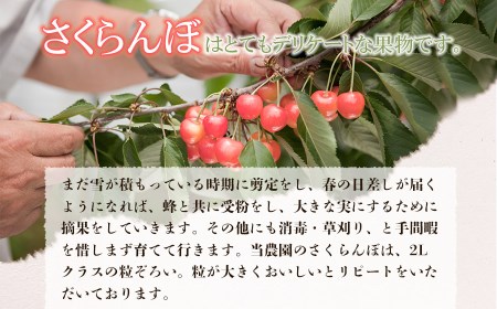 【令和7年産先行予約】佐藤錦 1kg 2L～Lサイズ 混合 バラ詰め 小林農園 さくらん坊