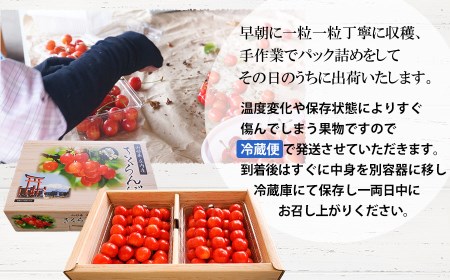 【令和7年産先行予約】佐藤錦 1kg 2L～Lサイズ 混合 バラ詰め 小林農園 さくらん坊