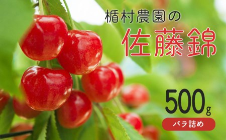 佐藤錦 L~2Lサイズ バラ詰め 500g 楯村農園