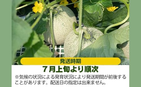 【令和7年産先行予約】お楽しみメロン 3L5玉セット または 2L6玉セット 山形県 庄内産 砂丘メロン 食べ比べ K-760　JA鶴岡