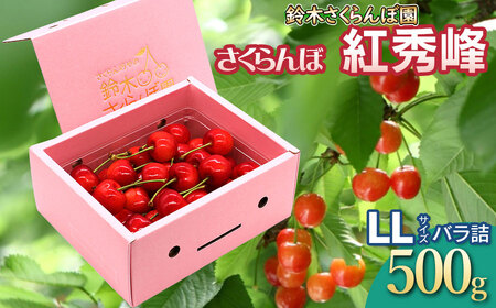 【令和7年産先行予約】 さくらんぼ 紅秀峰 LLサイズ バラ詰め 500g　山形県鶴岡産　鈴木さくらんぼ園