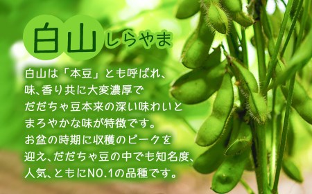 【令和8年産先行予約】朝採りだだちゃ豆 【白山】1.5kg (500g×3袋) 枝豆 小池半左衛門