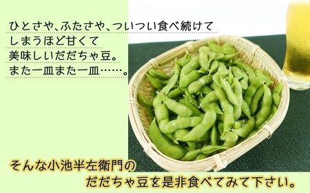 【令和8年産先行予約】朝採りだだちゃ豆 【白山】1.5kg (500g×3袋) 枝豆 小池半左衛門