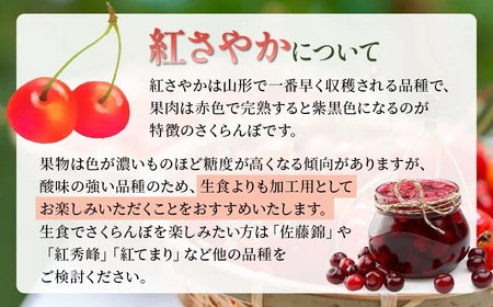 【令和7年産先行予約】 さくらんぼ 紅さやか Lサイズ フードパック 800g（200g×4p） 山形県鶴岡産　鈴木さくらんぼ園