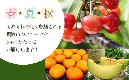 【令和8年産先行予約】 鶴岡から春夏秋のフルーツ定期便【3回お届け】山形県鶴岡産 株式会社 元青果