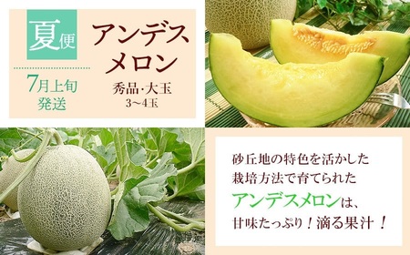 【令和8年産先行予約】 鶴岡から春夏秋のフルーツ定期便【3回お届け】山形県鶴岡産 株式会社 元青果