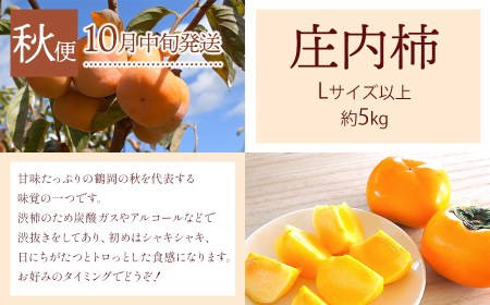 【令和8年産先行予約】 鶴岡から春夏秋のフルーツ定期便【3回お届け】山形県鶴岡産 株式会社 元青果