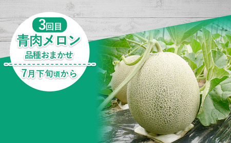 【令和8年産先行予約】 メロン好きのメロン定期便 【3回お届け】 山形県鶴岡市産　株式会社 元青果