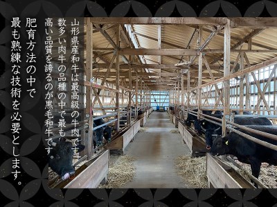 総称 山形牛 サーロインステーキ600g（200g×3枚） | 山形県鶴岡市