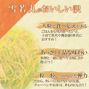 雪若丸 パックライス 180g×48P（24食入×2ケース） 山形県 庄内産