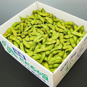 【令和8年産先行予約】一番採れ!神の枝豆と呼ばれた與惣兵衛の【初物だだちゃ豆】1kg K-831