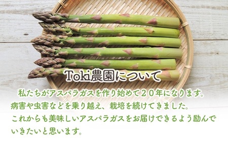 【令和8年産先行予約】　春採りアスパラガス 2Lサイズ 1kg　山形県鶴岡産　Toki農園