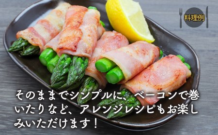 【令和8年産先行予約】　春採りアスパラガス 2Lサイズ 1kg　山形県鶴岡産　Toki農園