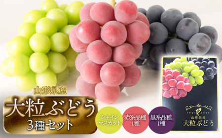 【令和8年産先行予約】大粒ぶどう3種 約2kg シャインマスカット+他2品種 丸果庄内青果