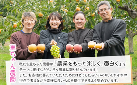 【令和8年産先行予約】 大人気 シャインマスカット 約2kg（3～4房） 山形県鶴岡産 重ちゃん農園