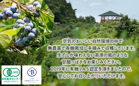 【令和7年産先行予約】月山高原のオーガニックブルーベリー(大粒・800g)　K-751