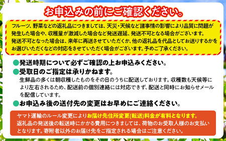 【令和7年産先行予約】月山高原のオーガニックブルーベリー(大粒・800g)　K-751