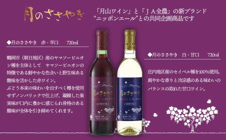 月山ワイン＆ＪＡ全農共同企画【月のささやき】赤・白ワイン２本セット　[K-738]