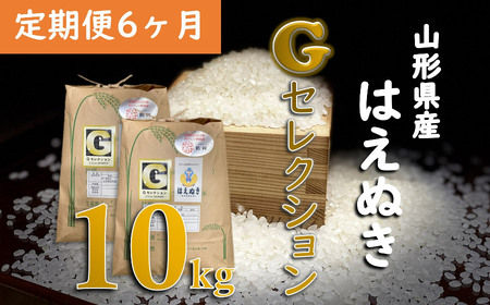 F65-001【定期便6ヶ月】【令和5年産】新米 山形県鶴岡産 Gセレクション