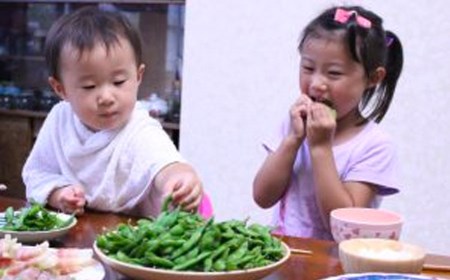 【定期便3ヶ月】神の枝豆と呼ばれた與惣兵衛（よそべい）の冷凍だだちゃ豆800ｇ