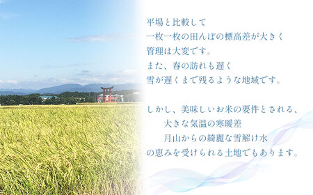 令和5年産 【つや姫】農家源助の特別栽培米 精米済 10kg（5kg×2袋） 