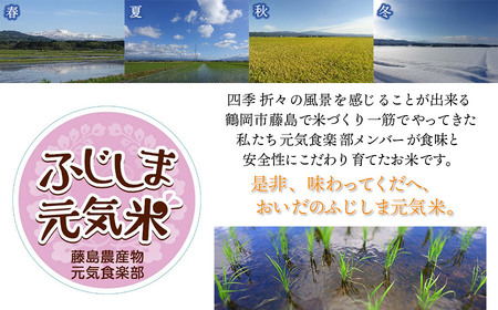 【令和7年産】特別栽培つや姫　ふじしま元気米　10kg（5kg×2）新鮮館Ａコープ藤島店