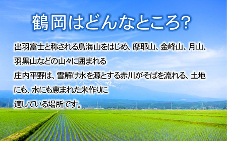 【令和7年産先行予約】 特別栽培米つや姫 5kg (5kg×1袋) 山形県鶴岡産　鶴岡協同ファーム