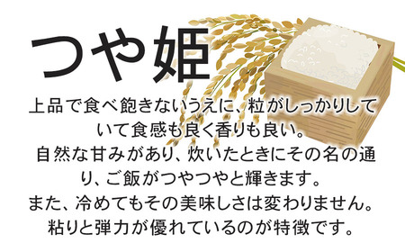 【令和6年産先行予約】特別栽培米つや姫 5kg (5kg×1袋)×6ヶ月【定期便】　鶴岡協同ファーム 