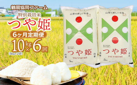 【令和6年産先行予約】特別栽培米つや姫 10kg (5kg×2袋)×6ヶ月【定期便】　鶴岡協同ファーム