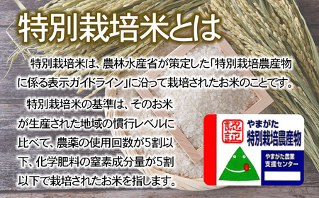 【令和6年産先行予約】特別栽培米つや姫 10kg (5kg×2袋)×6ヶ月【定期便】　鶴岡協同ファーム