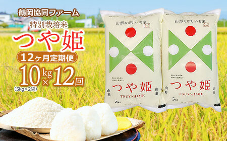 【令和6年産先行予約】特別栽培米つや姫 10kg (5kg×2袋)×12ヶ月【定期便】　鶴岡協同ファーム