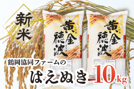 令和５年産米】はえぬき１０㎏（5kg×2袋）鶴岡協同ファーム | 山形県