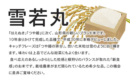 【令和6年産先行予約】 特別栽培米雪若丸 7kg (5kg+2kg) 山形県鶴岡産　鶴岡協同ファーム