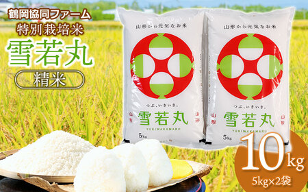 【令和7年産先行予約】 特別栽培米雪若丸 10kg (5kg×2袋) 山形県鶴岡産　鶴岡協同ファーム