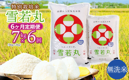 【令和7年産先行予約】 特別栽培米雪若丸 無洗米 7kg (5kg+2kg) ×6ヶ月【定期便】 山形県鶴岡産　鶴岡協同ファーム