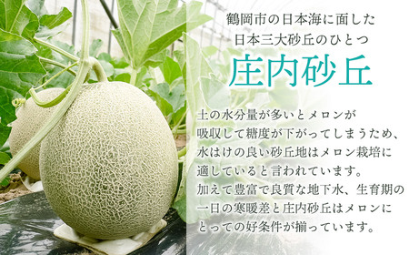 【令和8年産先行予約】 アンデスメロン 秀品 約5kg (3～5玉) 山形県鶴岡市産　株式会社 元青果